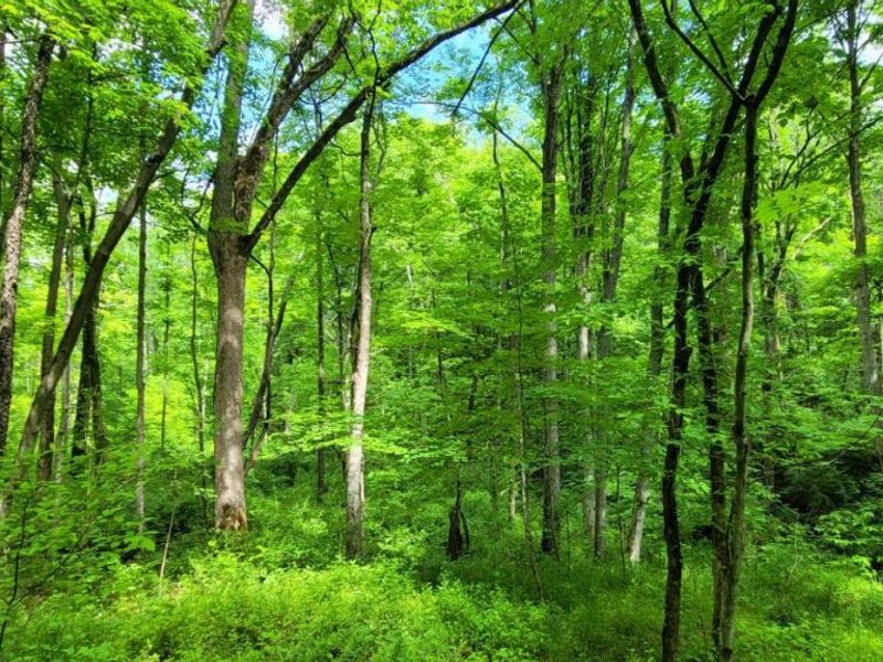 20.6 Ac Buckler Rd, Monroe Township, OH 45157 Photo 24