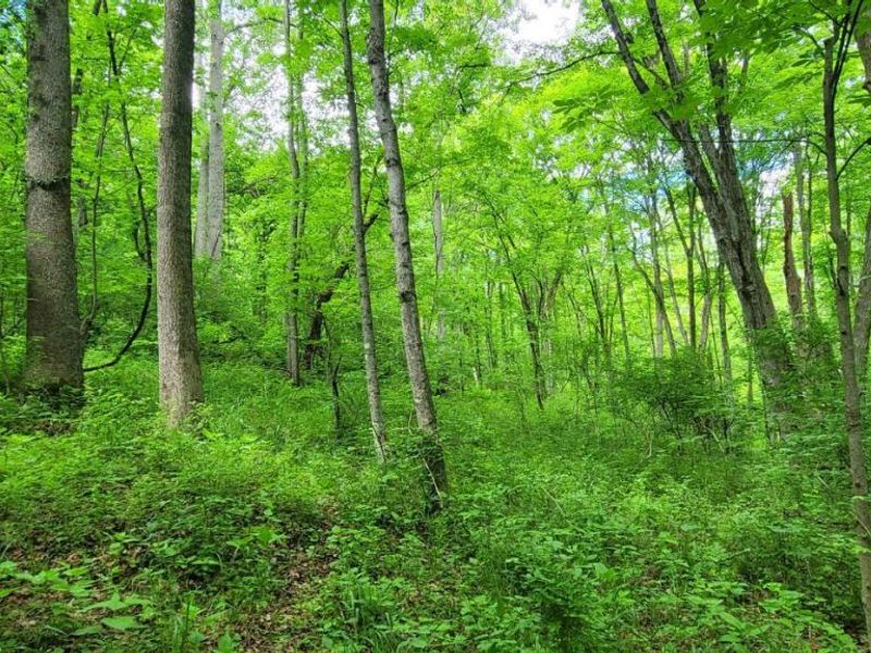 20.6 Ac Buckler Rd, Monroe Township, OH 45157 Photo 28