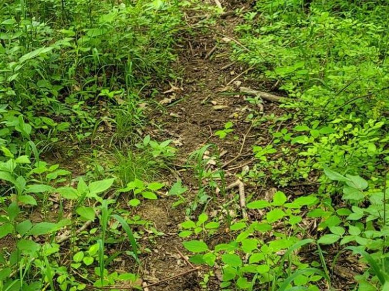 20.6 Ac Buckler Rd, Monroe Township, OH 45157 Photo 29