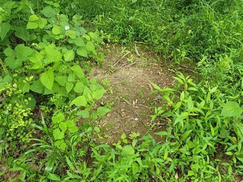 20.6 Ac Buckler Rd, Monroe Township, OH 45157 Photo 30