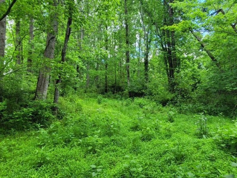 20.6 Ac Buckler Rd, Monroe Township, OH 45157 Photo 31