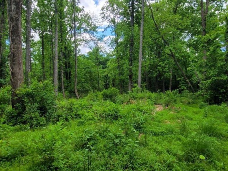 20.6 Ac Buckler Rd, Monroe Township, OH 45157 Photo 32
