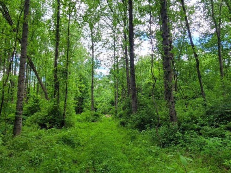 20.6 Ac Buckler Rd, Monroe Township, OH 45157 Photo 33