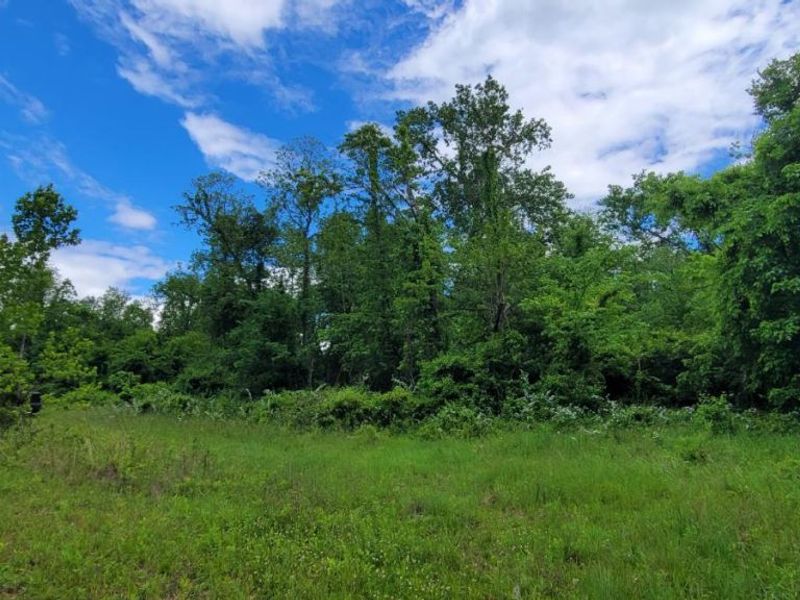 20.6 Ac Buckler Rd, Monroe Township, OH 45157 Photo 4