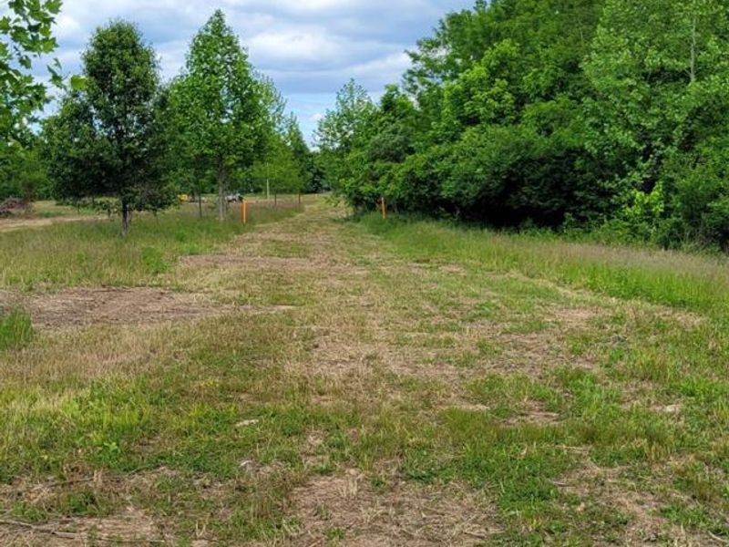 20.6 Ac Buckler Rd, Monroe Township, OH 45157 Photo 5