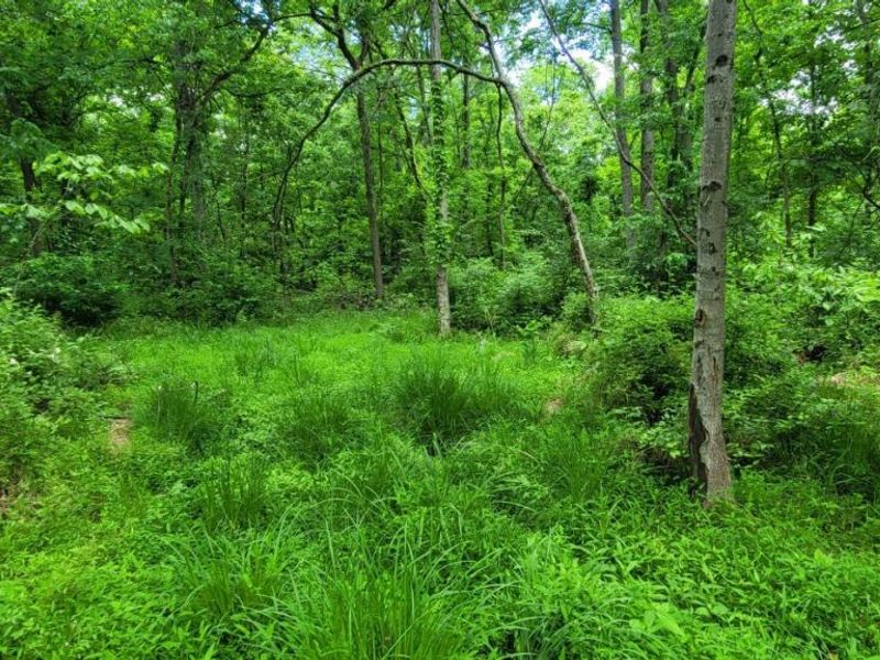 20.6 Ac Buckler Rd, Monroe Township, OH 45157 Photo 6