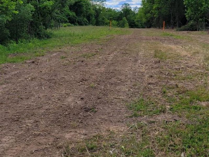 20.6 Ac Buckler Rd, Monroe Township, OH 45157 Photo 8