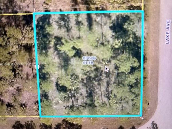 807 8th St E , Lehigh Acres, FL 33972