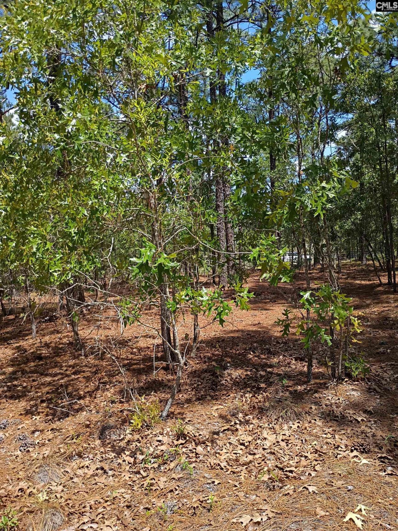 178 Homestead Lane Photo 10