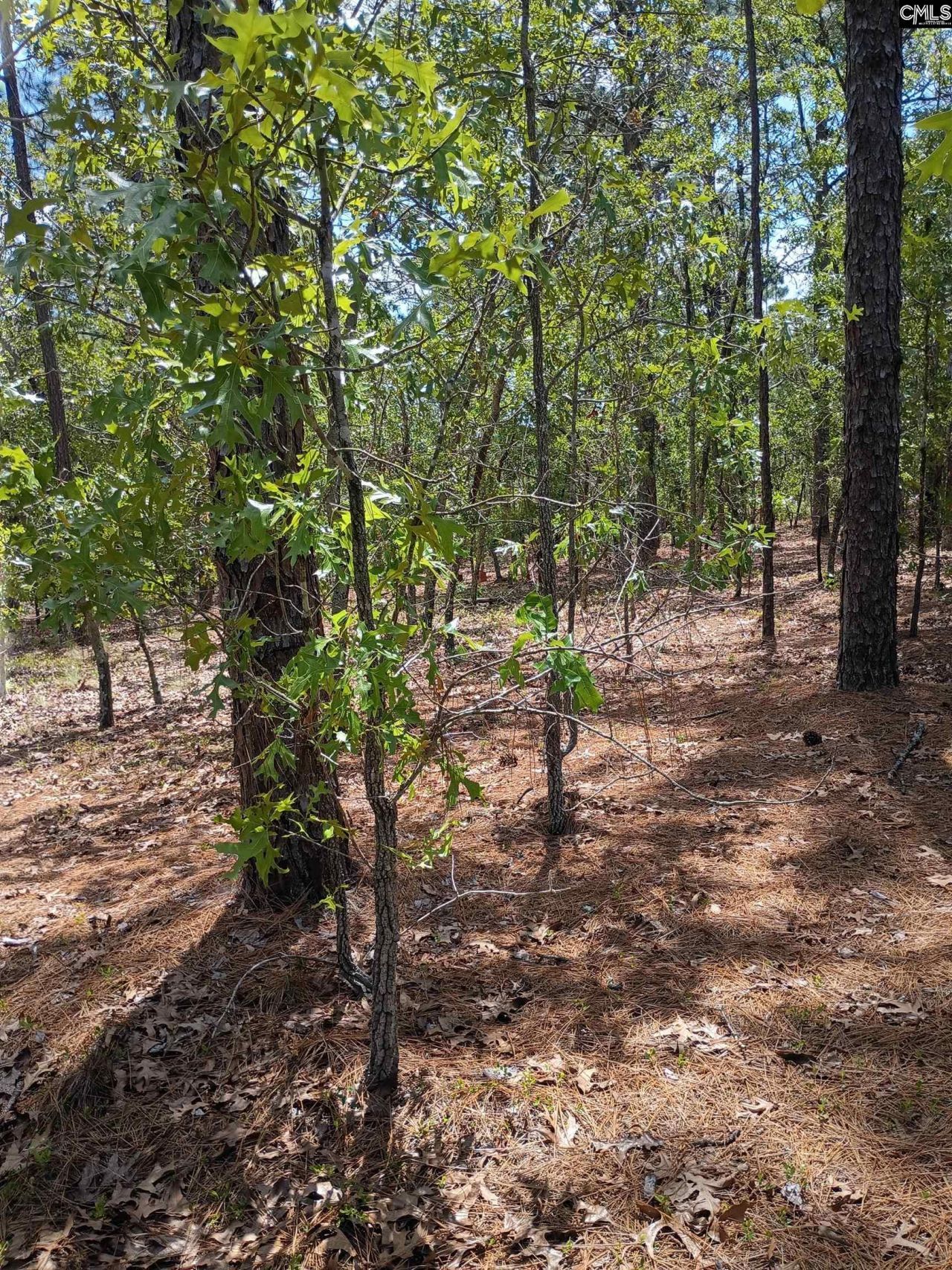 178 Homestead Lane Photo 11