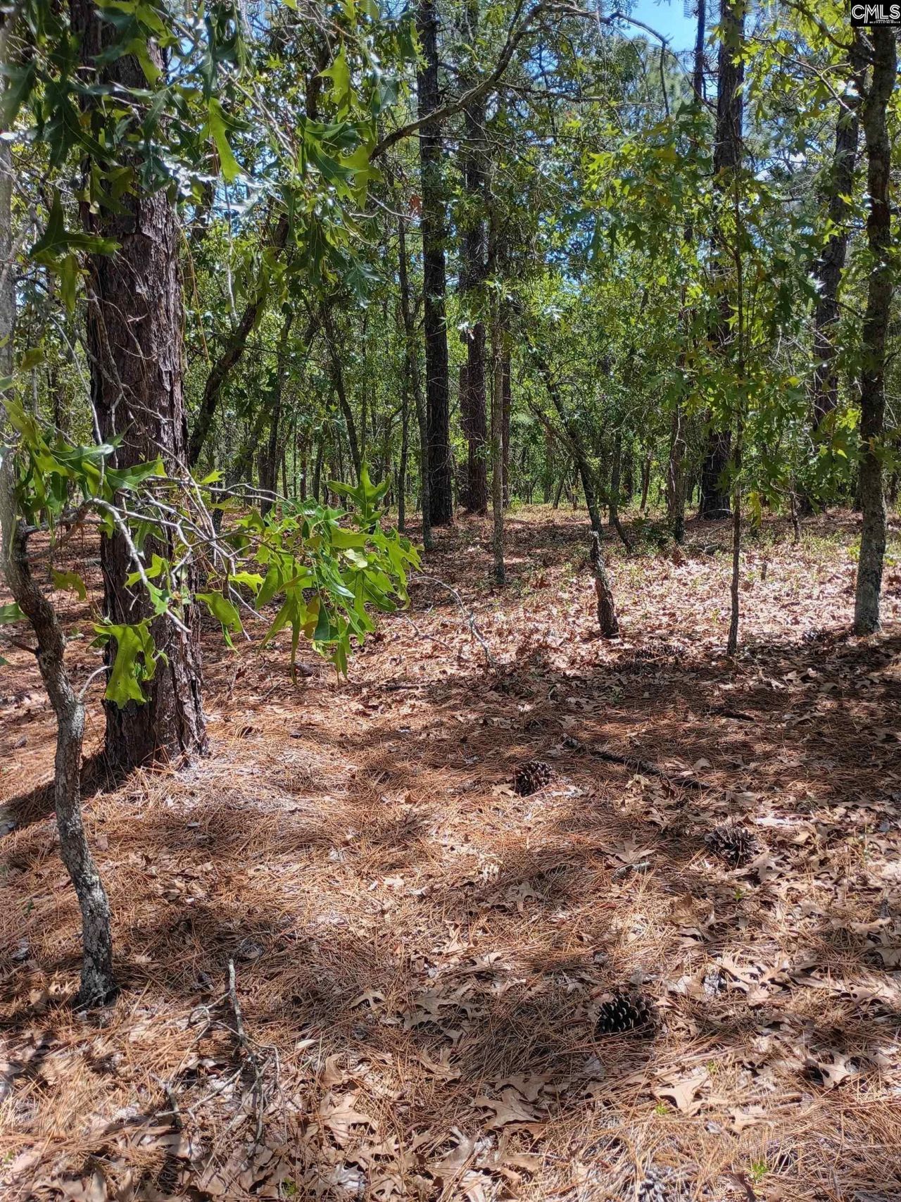 178 Homestead Lane Photo 4