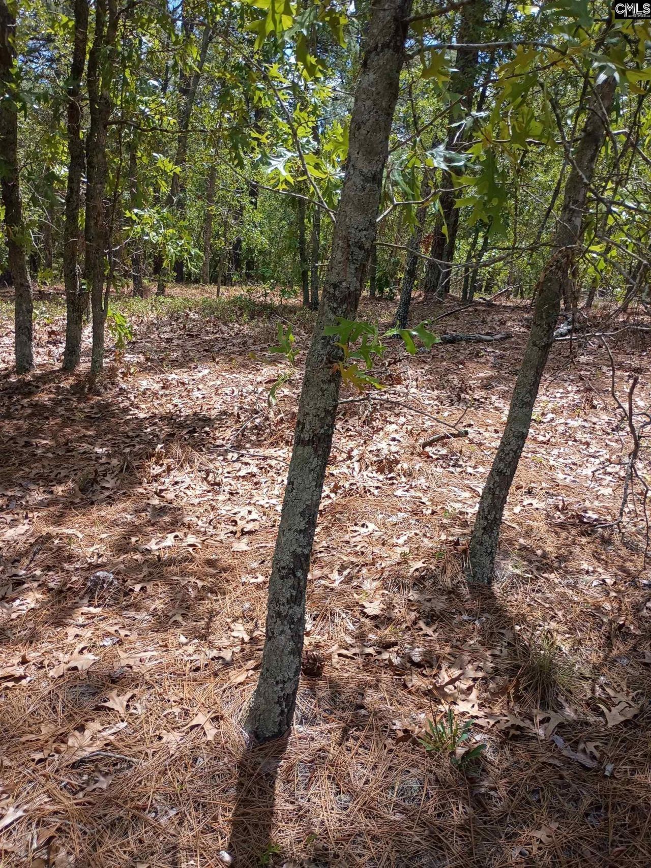 178 Homestead Lane Photo 7