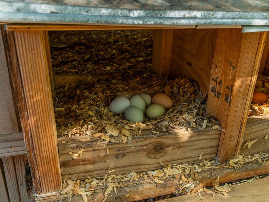 Property Image 31