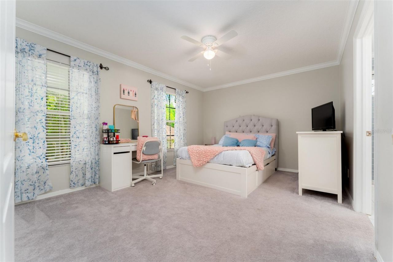 15303 Hidden Arbor Court, Odessa, FL 33556 Photo