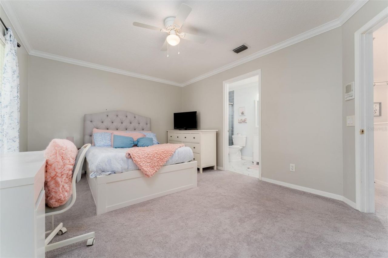 15303 Hidden Arbor Court, Odessa, FL 33556 Photo