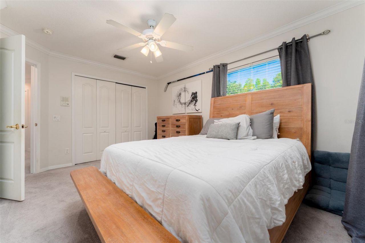 15303 Hidden Arbor Court, Odessa, FL 33556 Photo