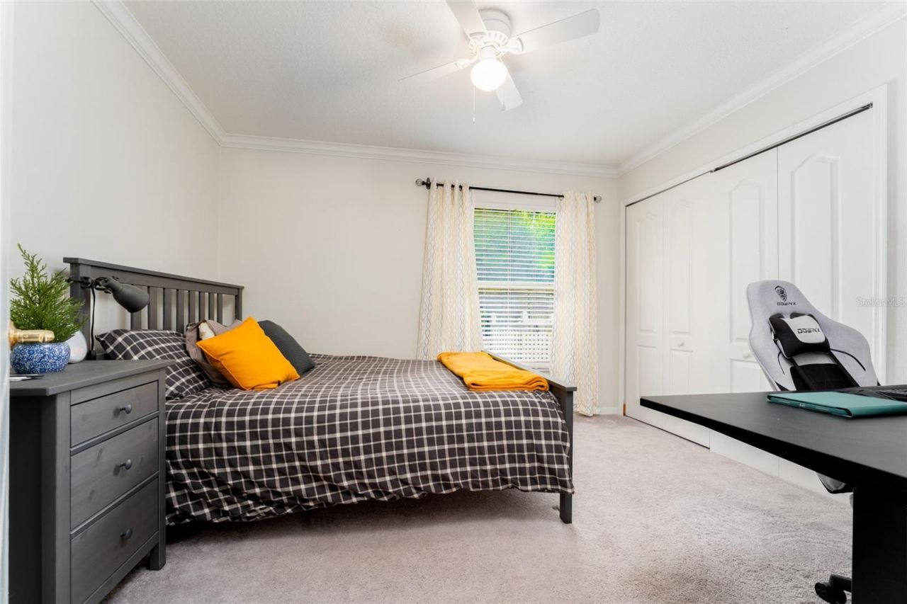 15303 Hidden Arbor Court, Odessa, FL 33556 Photo