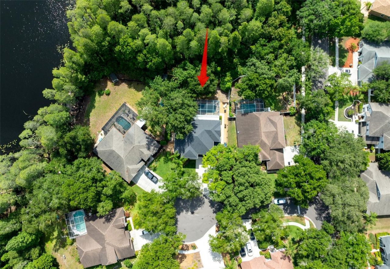 15303 Hidden Arbor Court, Odessa, FL 33556 Photo