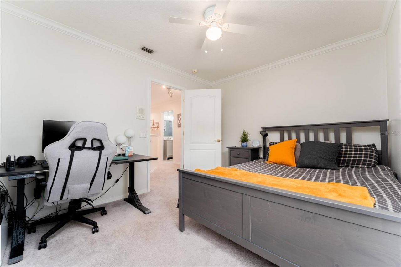 15303 Hidden Arbor Court, Odessa, FL 33556 Photo