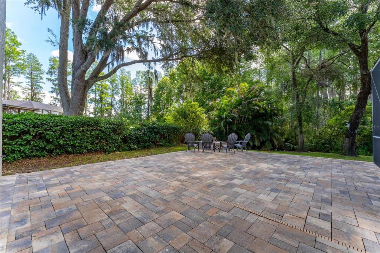 15303 Hidden Arbor Court, Odessa, FL 33556 Photo