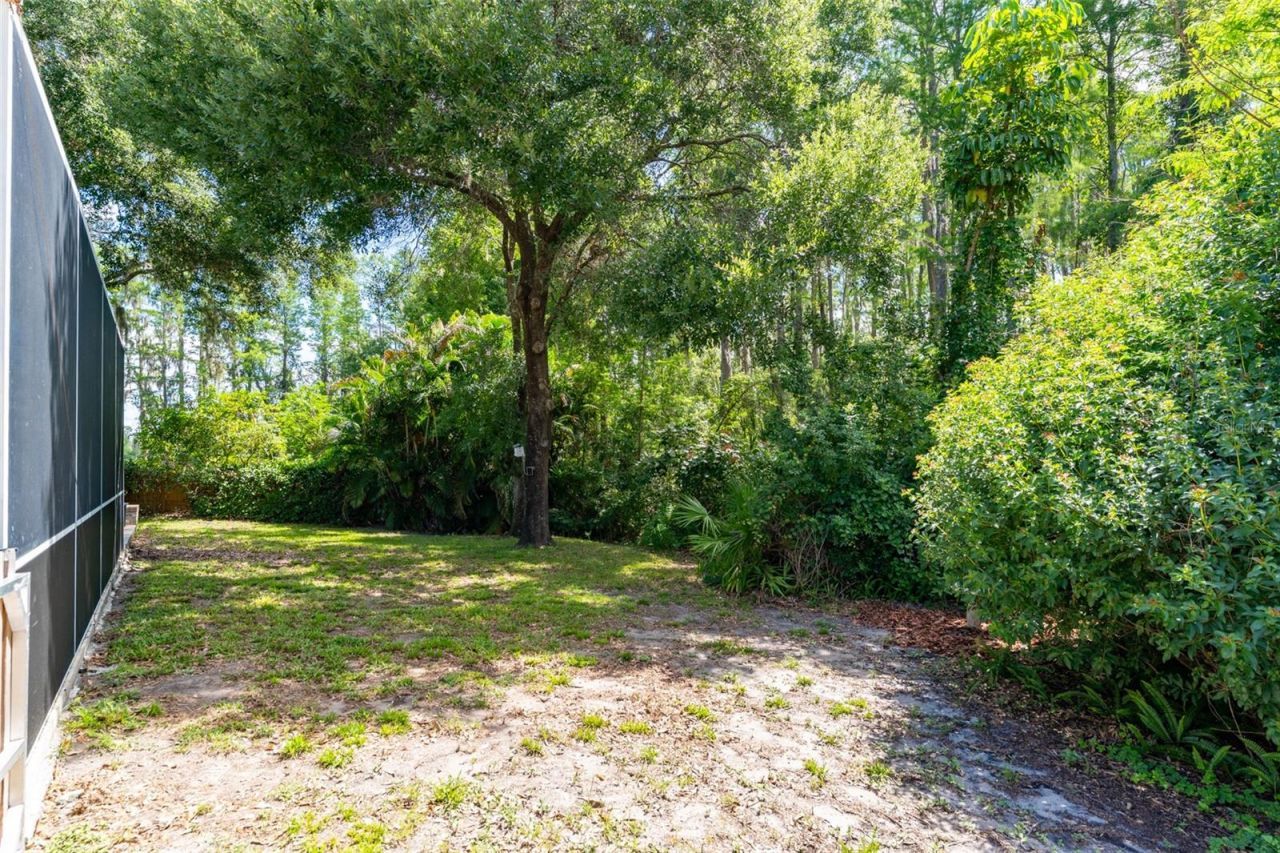 15303 Hidden Arbor Court, Odessa, FL 33556 Photo