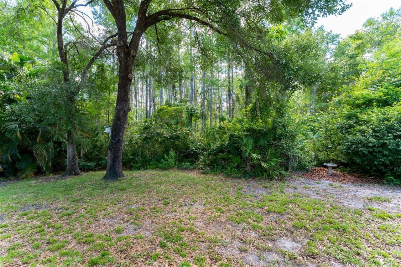 15303 Hidden Arbor Court, Odessa, FL 33556 Photo