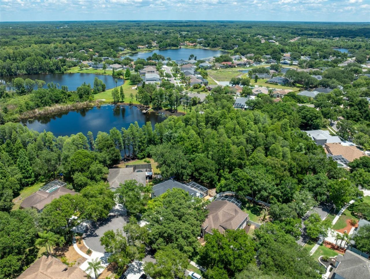 15303 Hidden Arbor Court, Odessa, FL 33556 Photo