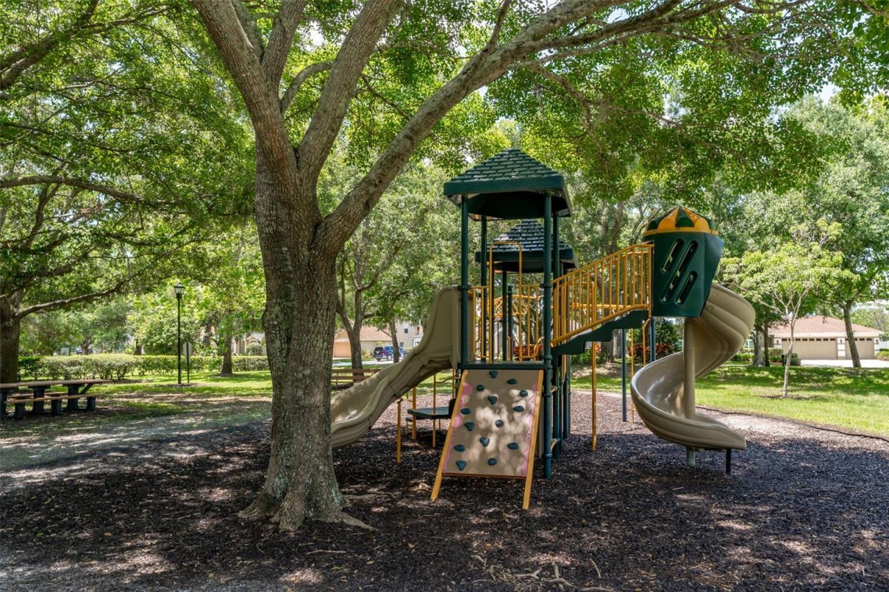 15303 Hidden Arbor Court, Odessa, FL 33556 Photo