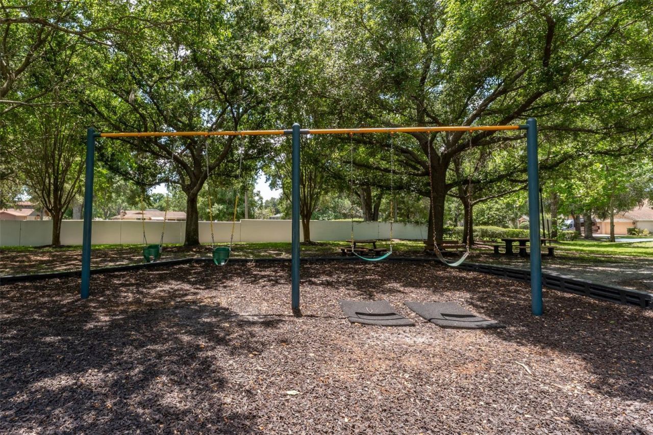 15303 Hidden Arbor Court, Odessa, FL 33556 Photo