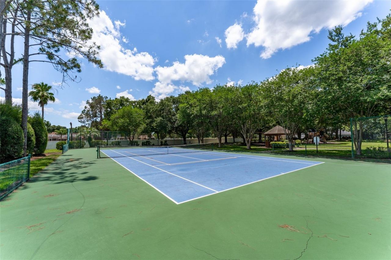 15303 Hidden Arbor Court, Odessa, FL 33556 Photo