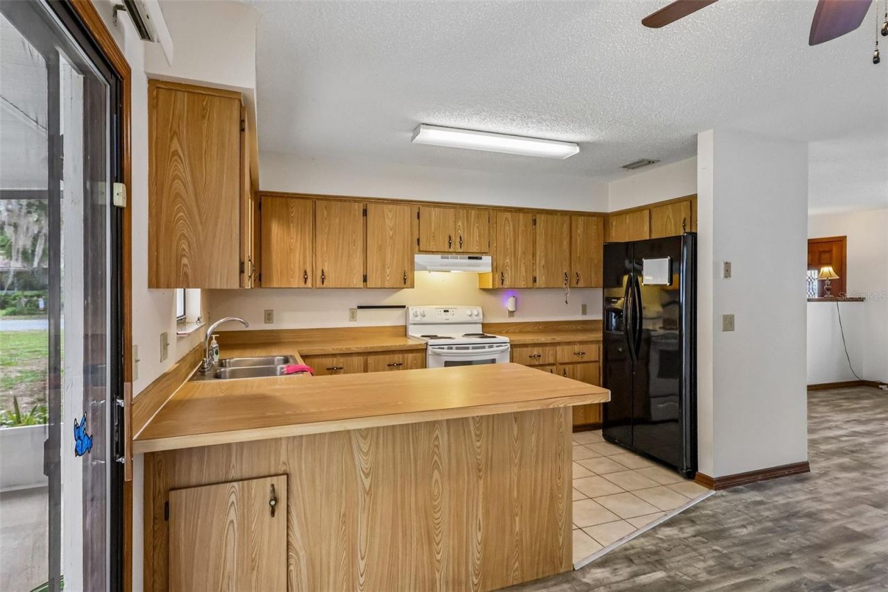 931 Cr 457a , Lake Panasoffkee, FL 33538 Photo