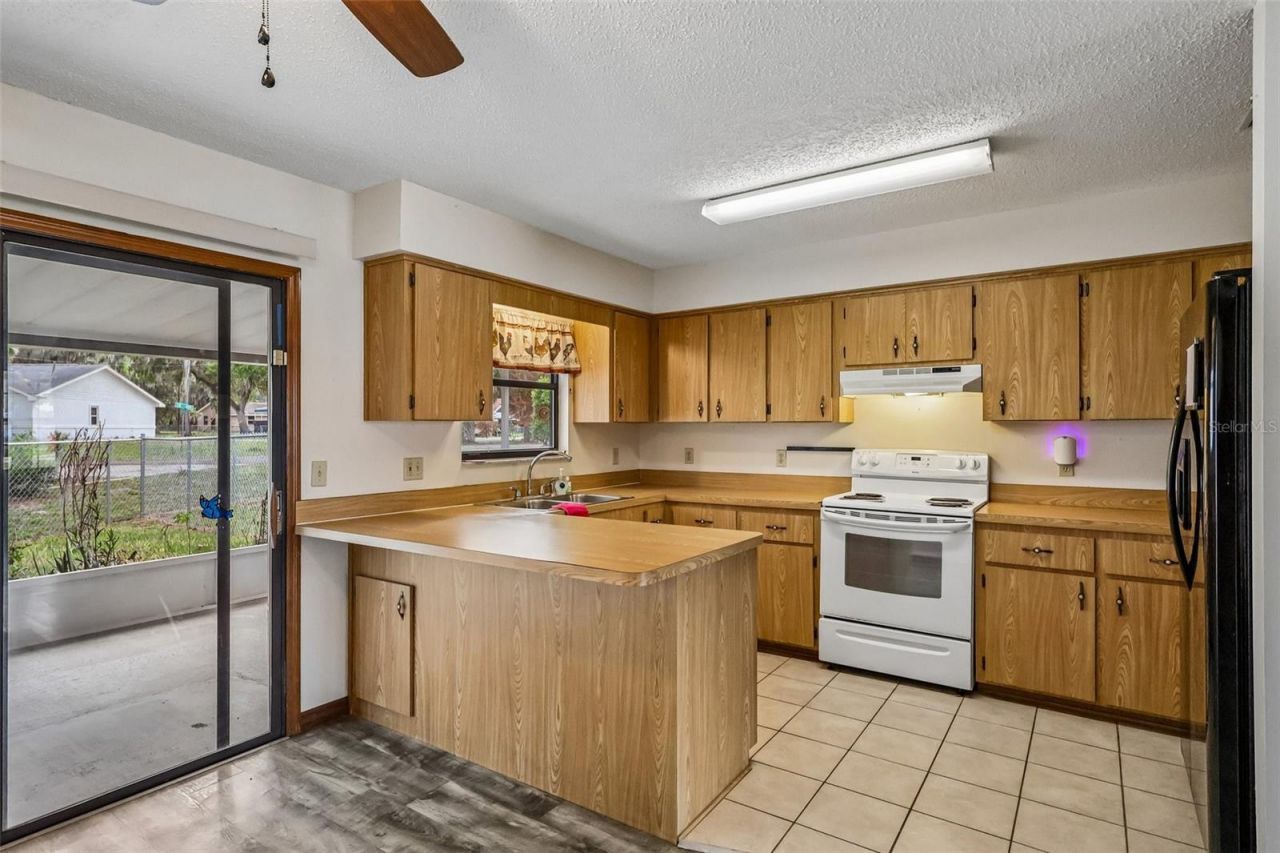931 Cr 457a , Lake Panasoffkee, FL 33538 Photo