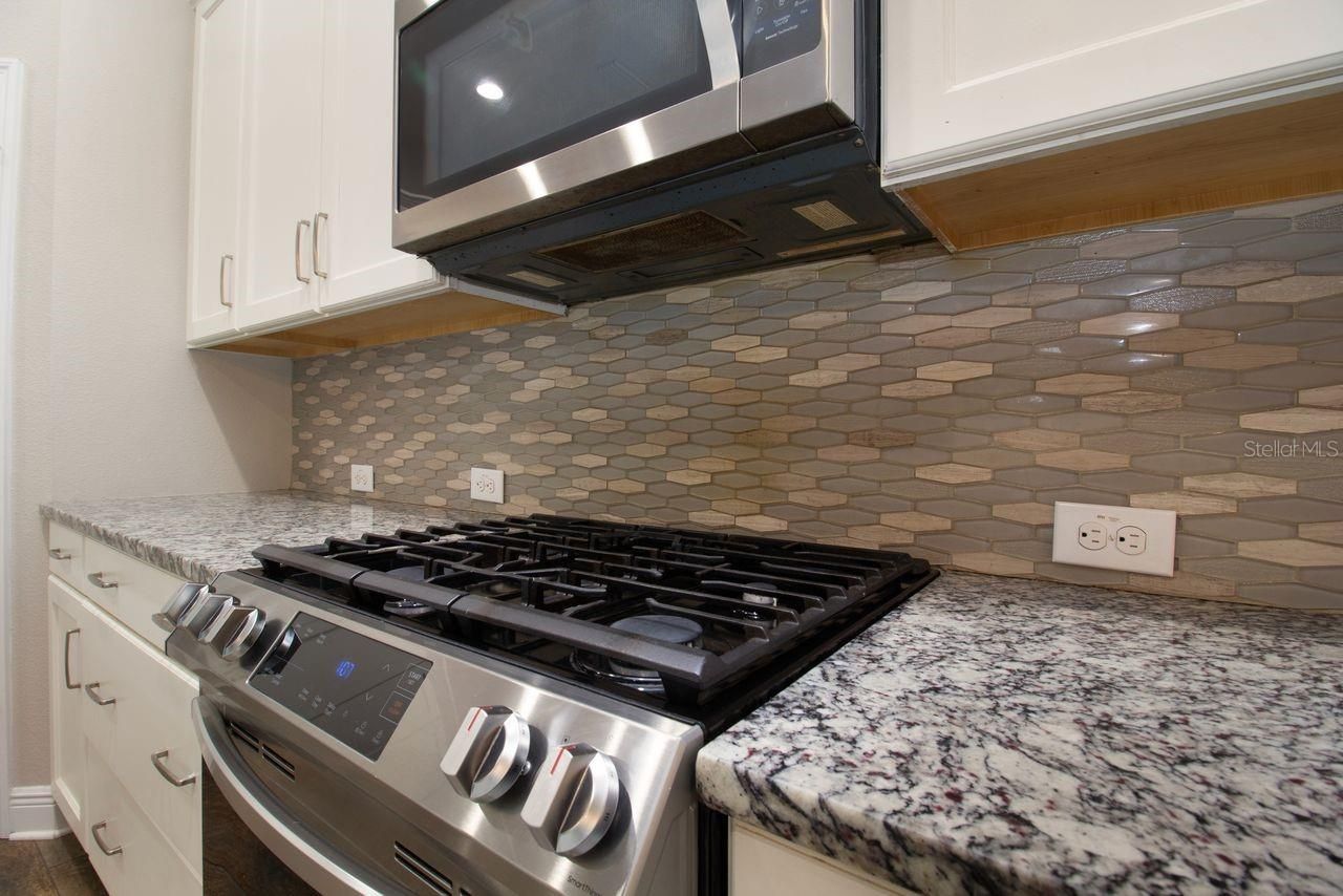 14501 Promenade Parkway, Odessa, FL 33556 Photo