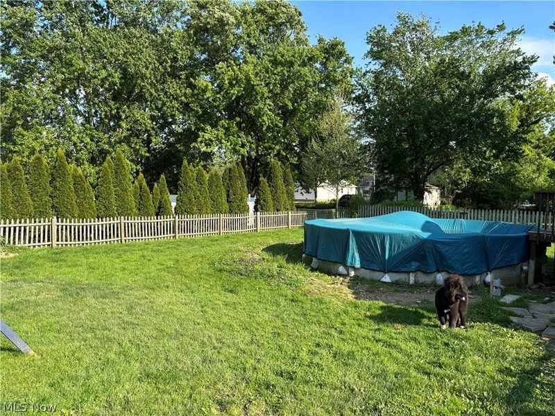 118 East Street, Wellington, OH 44090 Photo 10