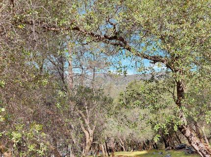 13036 Lake Wildwood Dr, Penn Valley, CA 95946 Photo