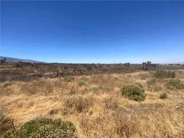 0 Joshua Tree, Lucerne Valley, CA 92285