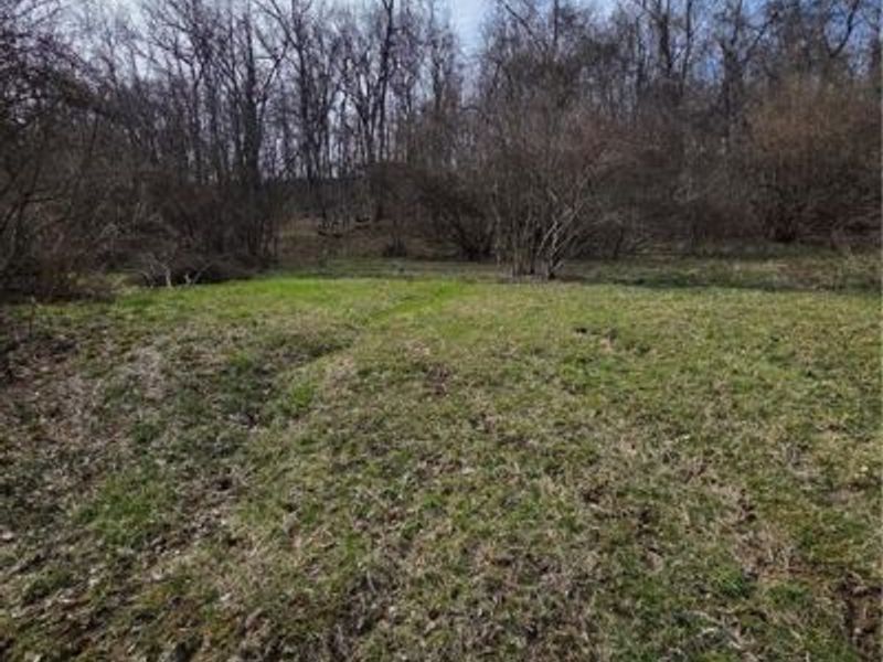 0 Iroquois Trail, Senecaville, OH 43780 Photo 10
