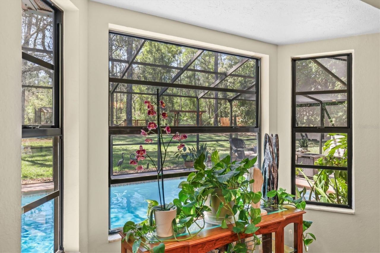 9032 Birmingham Avenue, Weeki Wachee, FL 34613 Photo