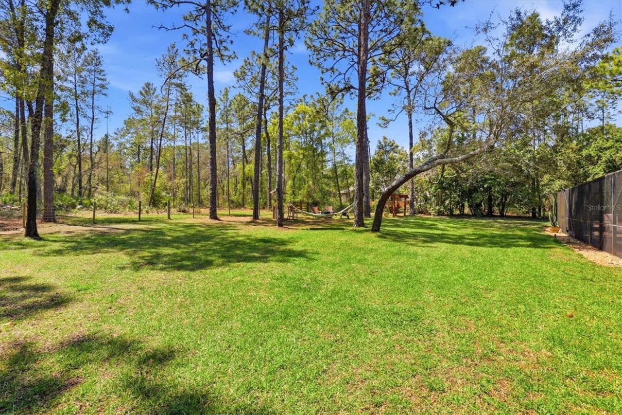9032 Birmingham Avenue, Weeki Wachee, FL 34613 Photo