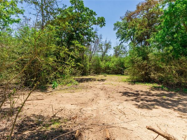 224 Pine Valley DR, Paige, TX 78659