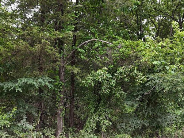 0 Pleasant Grove Loop , Cleveland, AR 72030