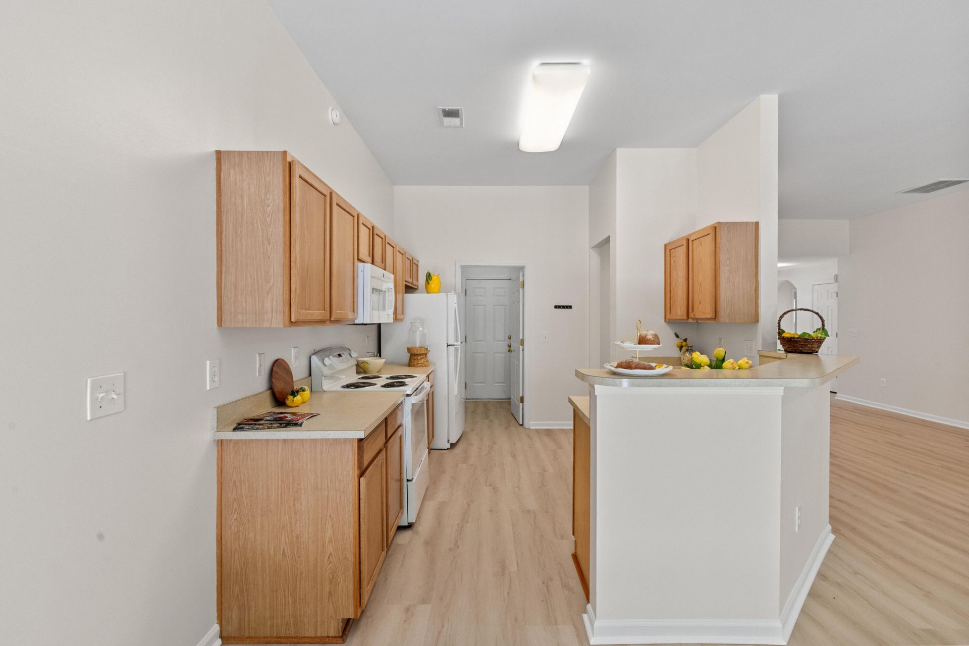 281 Sweet Alyssum Drive Photo 15