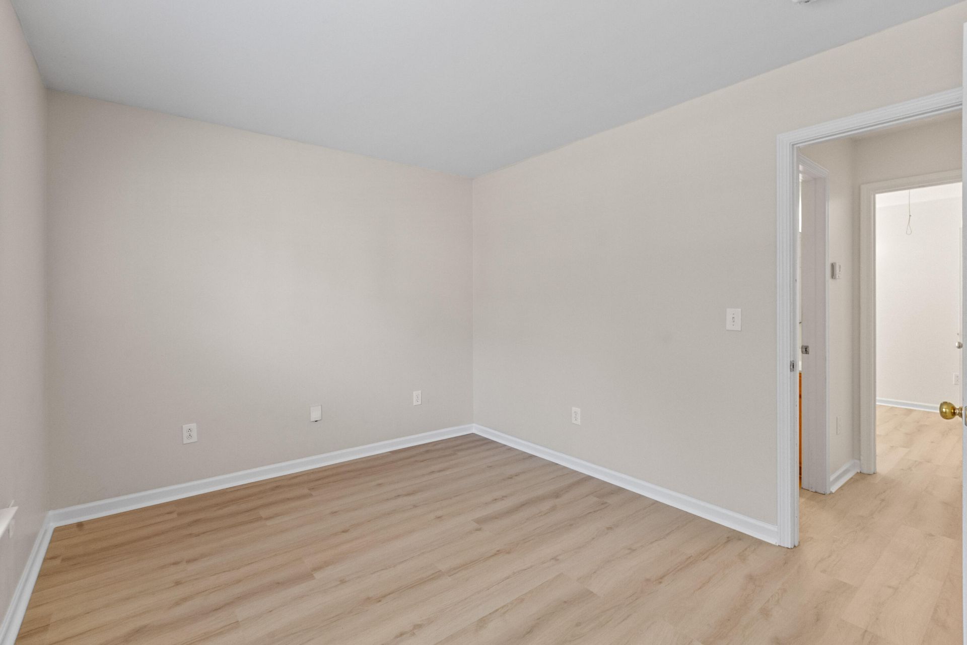 281 Sweet Alyssum Drive Photo 22