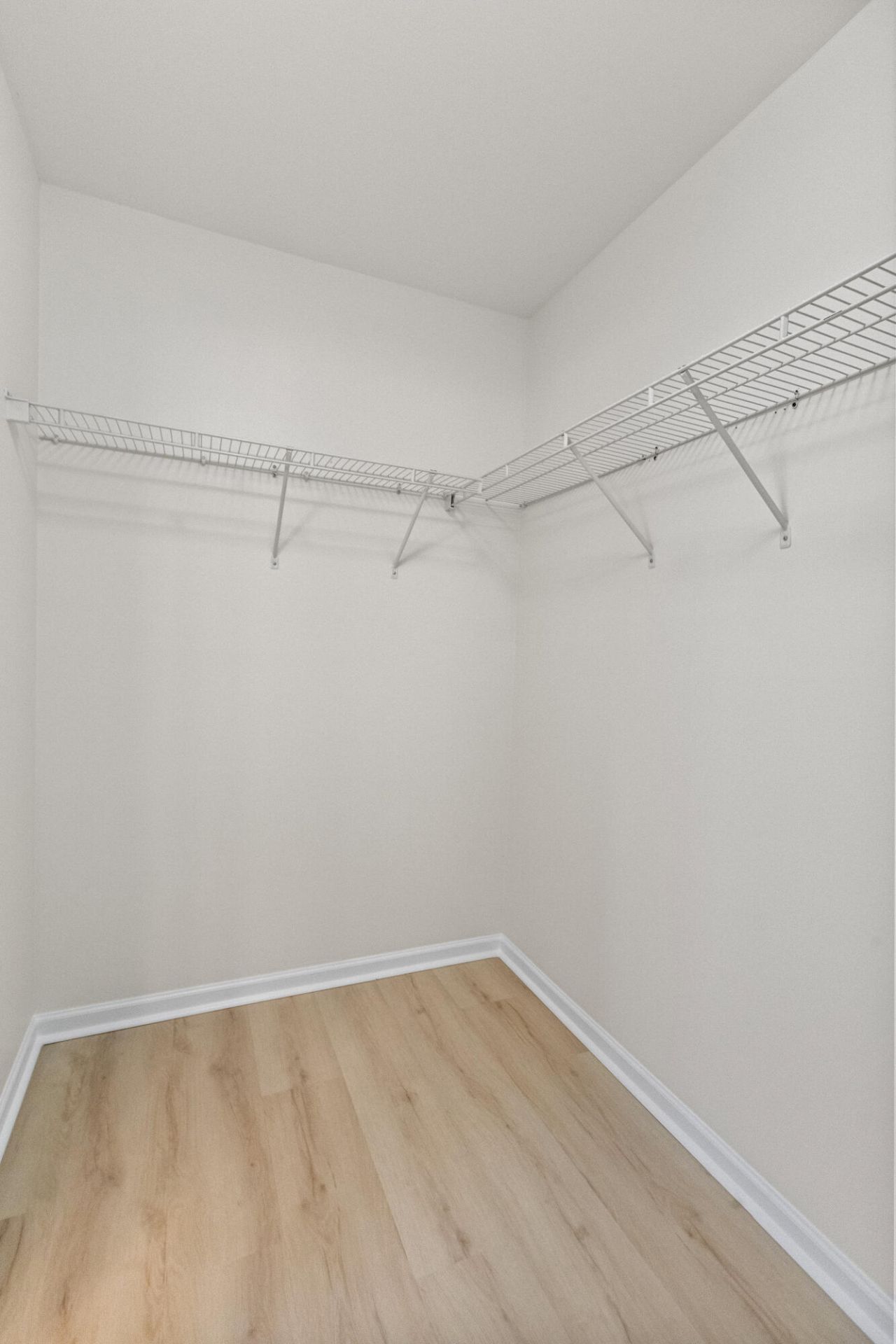 281 Sweet Alyssum Drive Photo 36