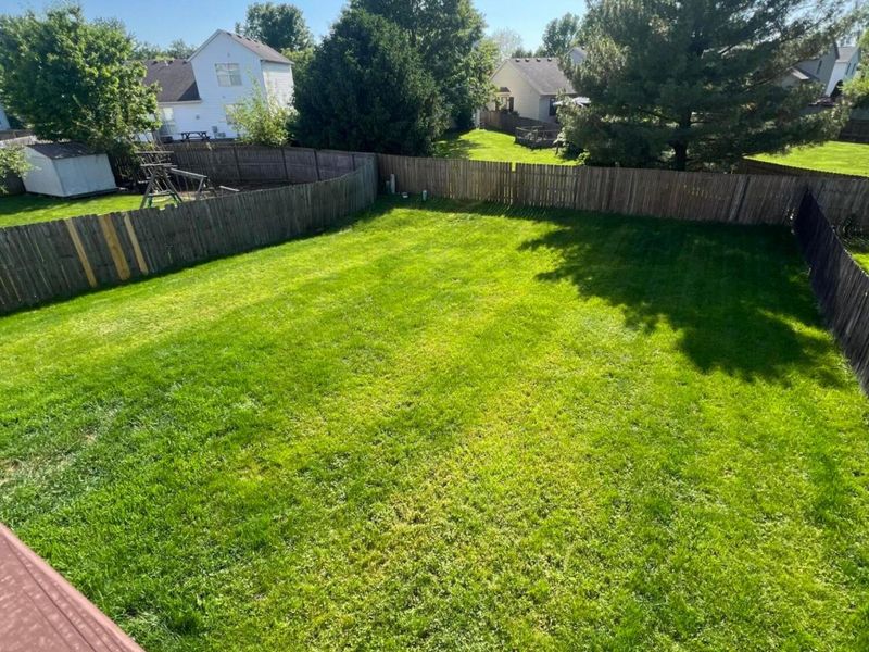 433 Hances Drive, Blacklick, OH 43004 Photo 61