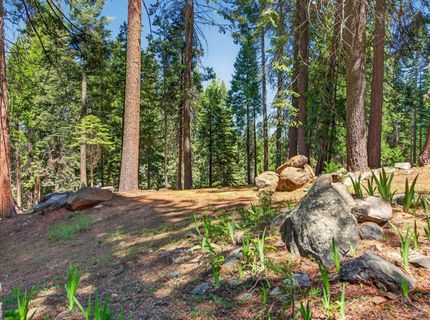 124 Marion Trail, Lake Almanor, CA 96020 Photo