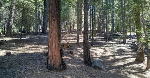 124 Marion Trail, Lake Almanor, CA 96020 Photo