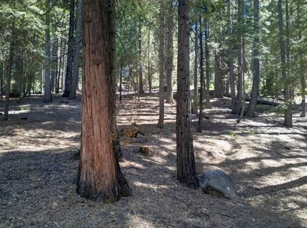 124 Marion Trail, Lake Almanor, CA 96020 Photo