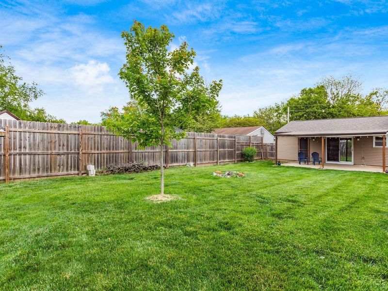 2463 Brown Road, Grove City, OH 43123 Photo 37
