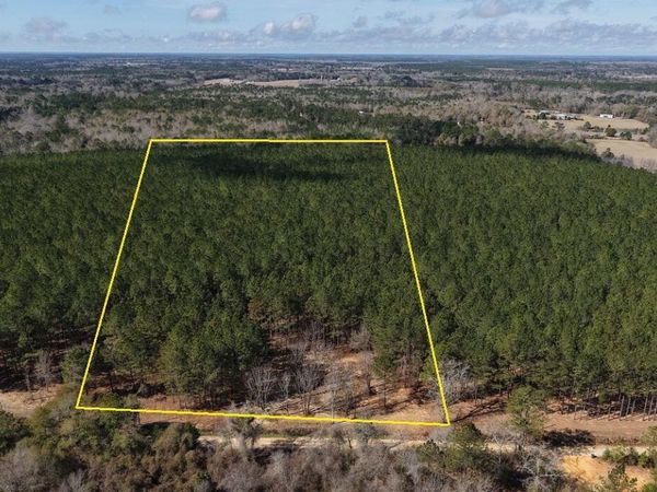 K Grimes Road , Laurel Hill, FL 32567